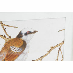 Schilderij DKD Home Decor Vogel Shabby Chic 60 x 2,5 x 60 cm (4 Stuks)