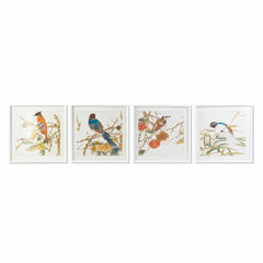 Schilderij DKD Home Decor Vogel Shabby Chic 60 x 2,5 x 60 cm (4 Stuks)