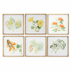 Cuadro DKD Home Decor 50 x 2,8 x 50 cm Shabby Chic Plantas botánicas (6 Piezas)